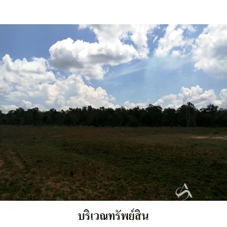 ที่ดินเปล่า หัวไทร นครศรีธรรมราช 232-1-87ไร่ - 6