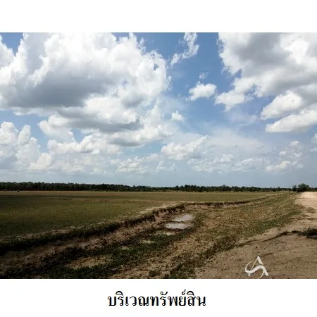 ที่ดินเปล่า หัวไทร นครศรีธรรมราช 232-1-87ไร่ - 7