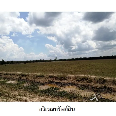 ที่ดินเปล่า หัวไทร นครศรีธรรมราช 232-1-87ไร่ - 8