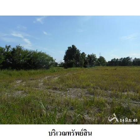 ที่ดินเปล่า พิชัย อุตรดิษถ์ 31-3-49ไร่ - 2