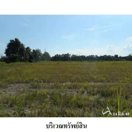 ที่ดินเปล่า พิชัย อุตรดิษถ์ 31-3-49ไร่ - 3