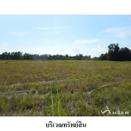 ที่ดินเปล่า พิชัย อุตรดิษถ์ 31-3-49ไร่ - 4