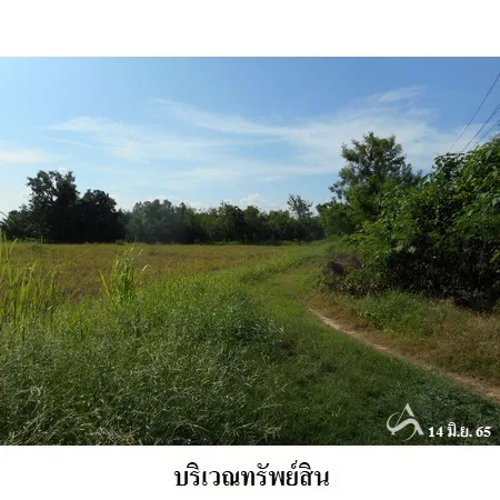 ที่ดินเปล่า พิชัย อุตรดิษถ์ 31-3-49ไร่ - 5