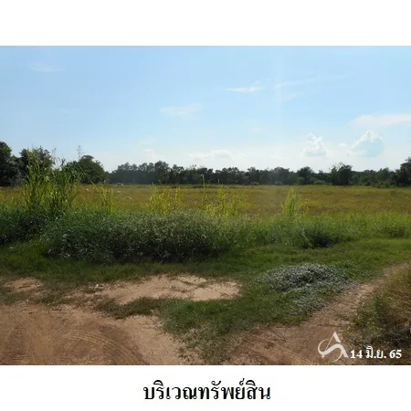 ที่ดินเปล่า พิชัย อุตรดิษถ์ 31-3-49ไร่ - 6