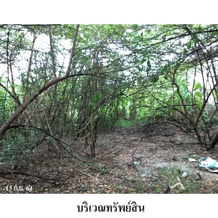 ที่ดินเปล่า หนองแขม กรุงเทพฯ 1-1-76ไร่ - 5