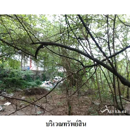 ที่ดินเปล่า หนองแขม กรุงเทพฯ 1-1-76ไร่ - 6