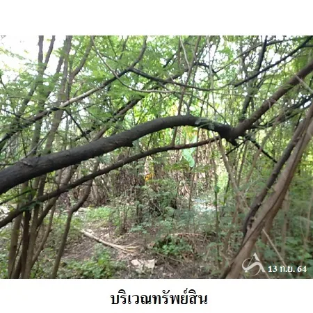 ที่ดินเปล่า หนองแขม กรุงเทพฯ 1-1-76ไร่ - 7