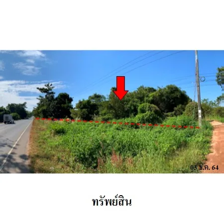 ที่ดินเปล่า โพนทอง ร้อยเอ็ด 18-2-60ไร่ - 4