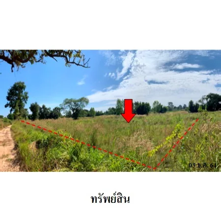 ที่ดินเปล่า โพนทอง ร้อยเอ็ด 18-2-60ไร่ - 5