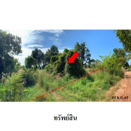 ที่ดินเปล่า โพนทอง ร้อยเอ็ด 18-2-60ไร่ - 6