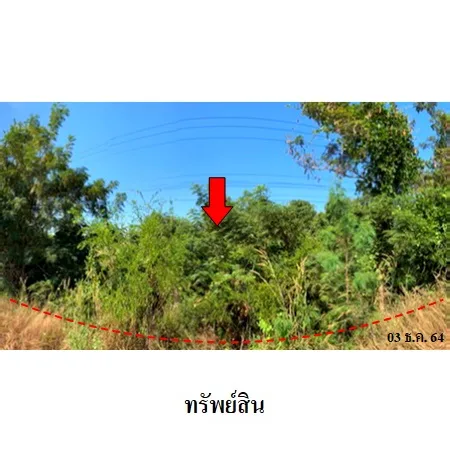 ที่ดินเปล่า โพนทอง ร้อยเอ็ด 18-2-60ไร่ - 7
