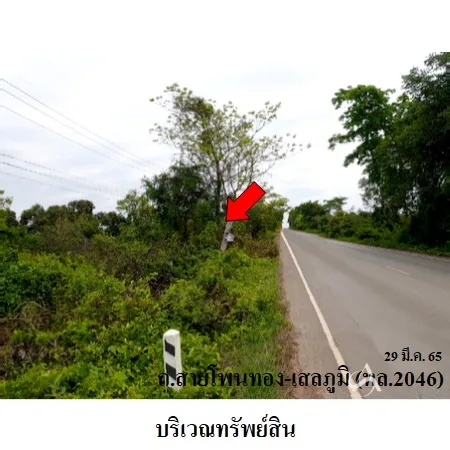 ที่ดินเปล่า โพนทอง ร้อยเอ็ด 18-2-60ไร่