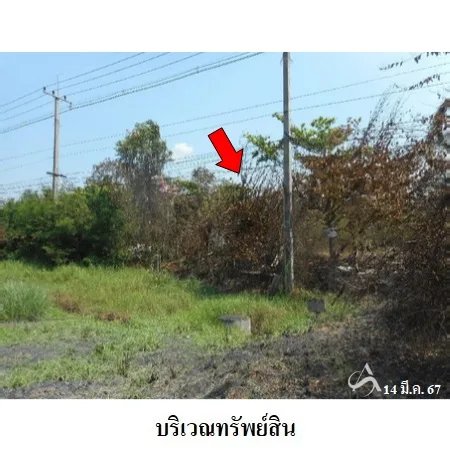 ที่ดินเปล่า พรหมบุรี สิงห์บุรี 3-1-31ไร่ - 4