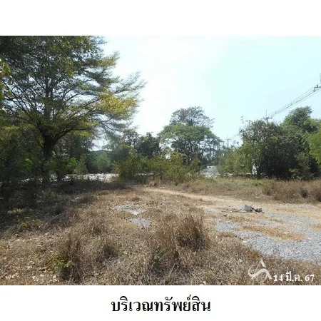 ที่ดินเปล่า พรหมบุรี สิงห์บุรี 3-1-31ไร่ - 5