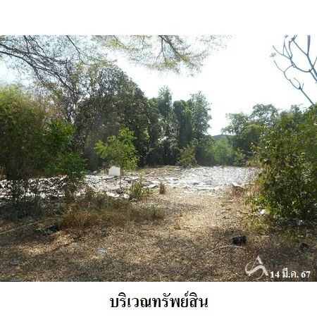 ที่ดินเปล่า พรหมบุรี สิงห์บุรี 3-1-31ไร่ - 6