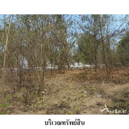 ที่ดินเปล่า พรหมบุรี สิงห์บุรี 3-1-31ไร่ - 7