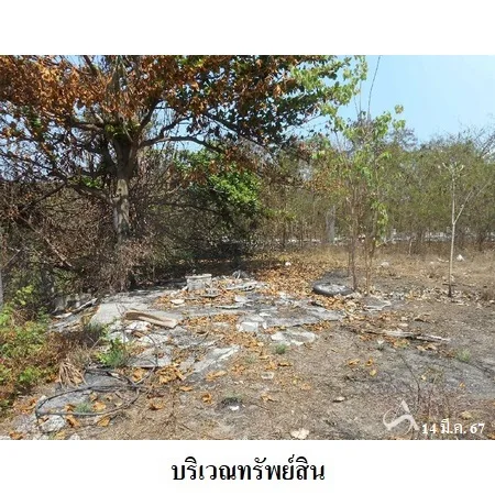 ที่ดินเปล่า พรหมบุรี สิงห์บุรี 3-1-31ไร่ - 9