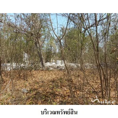 ที่ดินเปล่า พรหมบุรี สิงห์บุรี 3-1-31ไร่ - 10