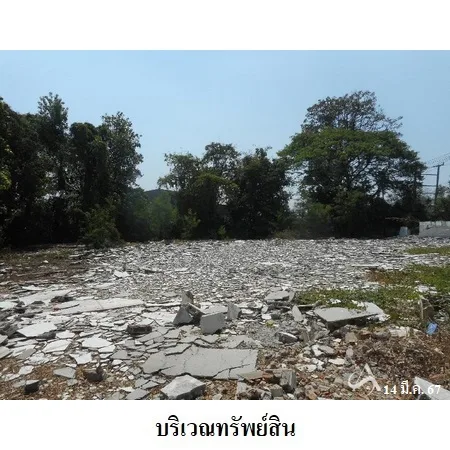 ที่ดินเปล่า พรหมบุรี สิงห์บุรี 3-1-31ไร่ - 11
