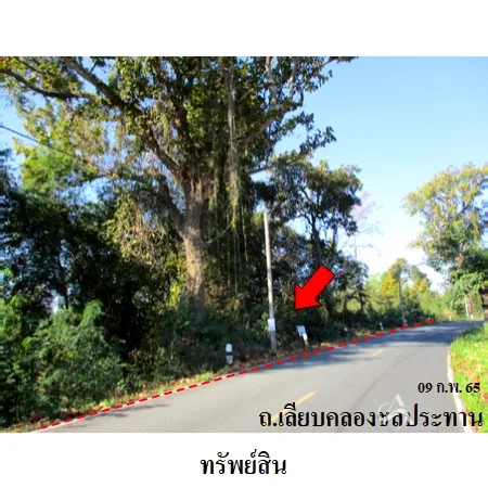 ที่ดินเปล่า ดอยสะเก็ด เชียงใหม่ 4-1-17.5ไร่ - 4
