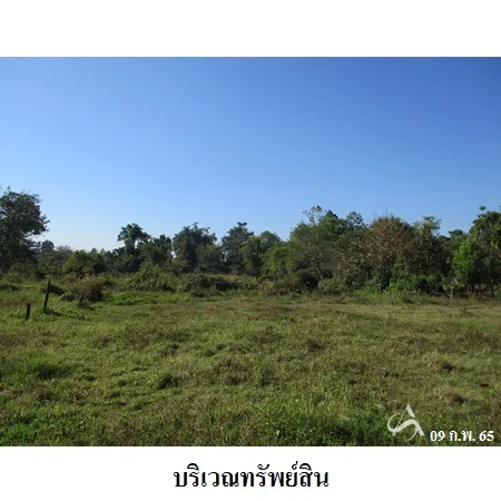 ที่ดินเปล่า ดอยสะเก็ด เชียงใหม่ 4-1-17.5ไร่ - 5