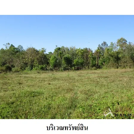 ที่ดินเปล่า ดอยสะเก็ด เชียงใหม่ 4-1-17.5ไร่ - 6