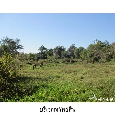 ที่ดินเปล่า ดอยสะเก็ด เชียงใหม่ 4-1-17.5ไร่ - 7