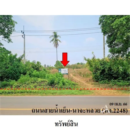 ที่ดินเปล่า น้ำยืน อุบลราชธานี 16-2-50ไร่ - 5
