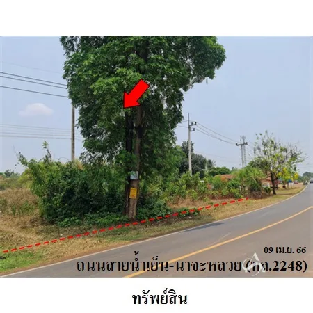 ที่ดินเปล่า น้ำยืน อุบลราชธานี 16-2-50ไร่
