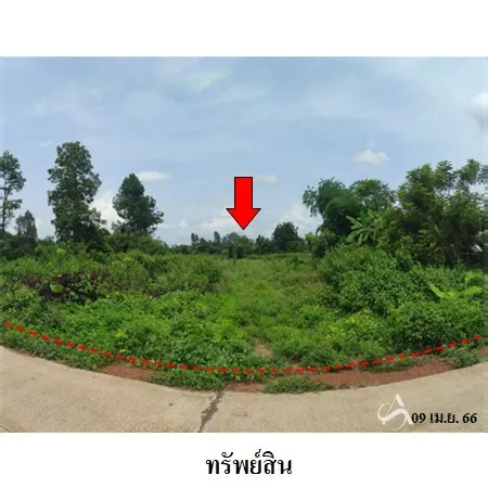 ที่ดินเปล่า น้ำยืน อุบลราชธานี 16-2-50ไร่ - 7
