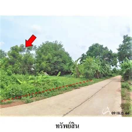ที่ดินเปล่า น้ำยืน อุบลราชธานี 16-2-50ไร่ - 8