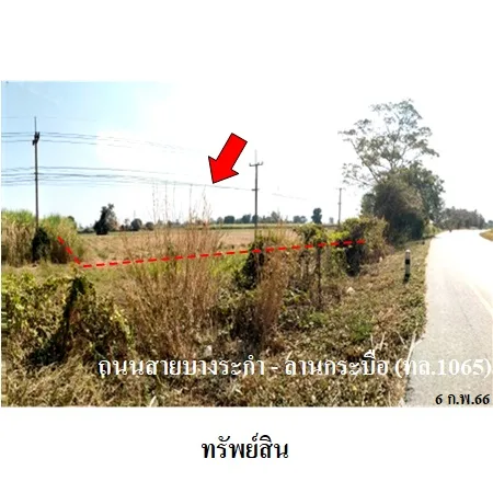 ที่ดินเปล่า บางระกำ พิษณุโลก 20-1-64ไร่
