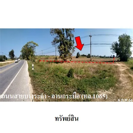 ที่ดินเปล่า บางระกำ พิษณุโลก 20-1-64ไร่ - 12