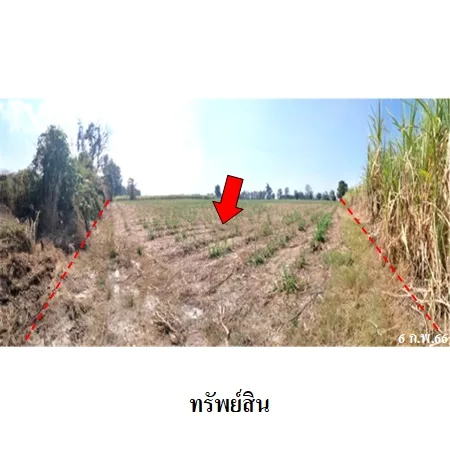 ที่ดินเปล่า บางระกำ พิษณุโลก 20-1-64ไร่ - 8