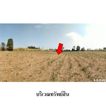 ที่ดินเปล่า บางระกำ พิษณุโลก 20-1-64ไร่ - 9