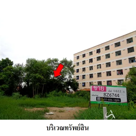 ที่ดินเปล่า บางปะอิน อยุธยา 1-0-11ไร่ - 6