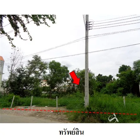 ที่ดินเปล่า บางปะอิน อยุธยา 1-0-11ไร่ - 10