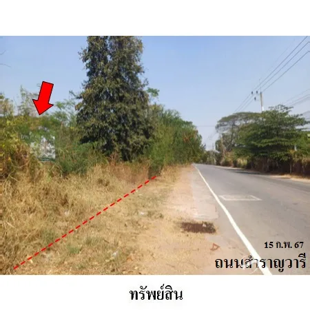ที่ดินเปล่า ชุมแพ ขอนแก่น 1-1-34ไร่ - 9