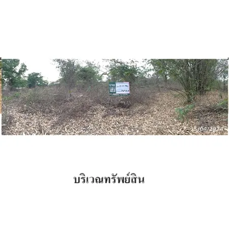 ที่ดินเปล่า ขาณุวรลักษบุรี กำแพงเพชร 21-2-78ไร่ - 3