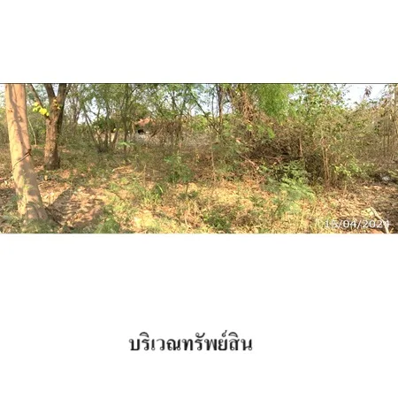 ที่ดินเปล่า ขาณุวรลักษบุรี กำแพงเพชร 21-2-78ไร่ - 4