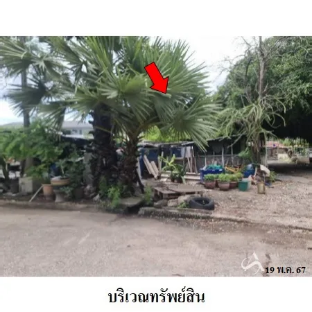 ที่ดินเปล่า บางพลี สมุทรปราการ 1-1-48ไร่ - 3
