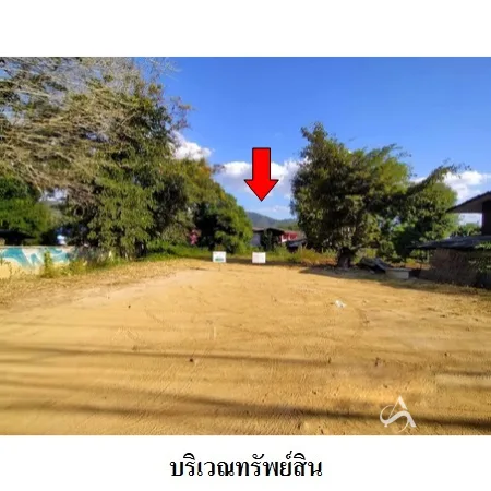 ที่ดินเปล่า ปาย แม่ฮ่องสอน 0-2-36ไร่ - 2