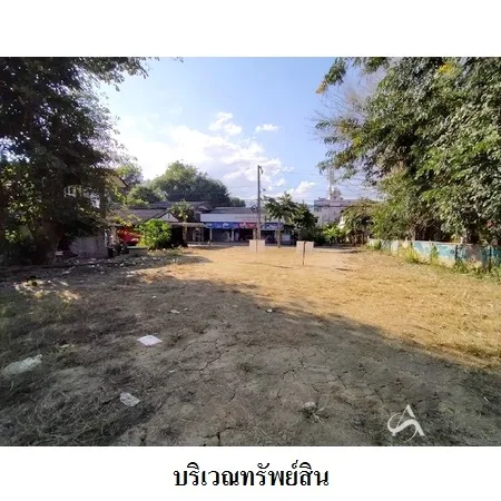 ที่ดินเปล่า ปาย แม่ฮ่องสอน 0-2-36ไร่ - 3