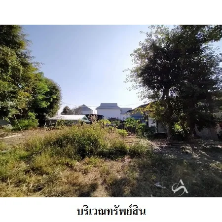 ที่ดินเปล่า ปาย แม่ฮ่องสอน 0-2-36ไร่ - 7
