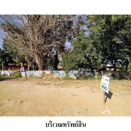 ที่ดินเปล่า ปาย แม่ฮ่องสอน 0-2-36ไร่ - 8