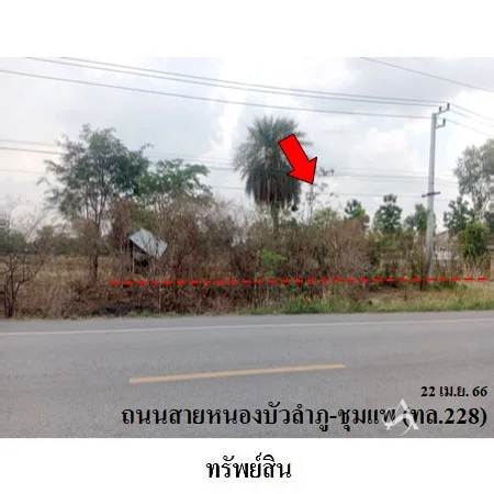 ที่ดินเปล่า ศรีบุญเรือง หนองบัวลำภู 4-2-77ไร่
