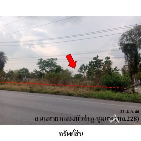 ที่ดินเปล่า ศรีบุญเรือง หนองบัวลำภู 4-2-77ไร่ - 2