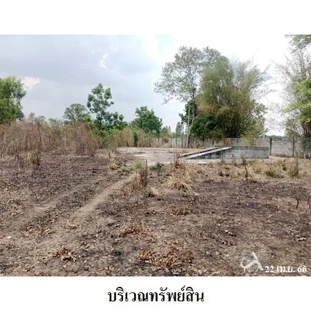 ที่ดินเปล่า ศรีบุญเรือง หนองบัวลำภู 4-2-77ไร่ - 6