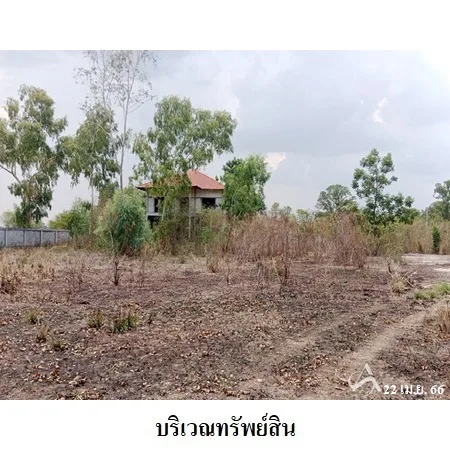 ที่ดินเปล่า ศรีบุญเรือง หนองบัวลำภู 4-2-77ไร่ - 7