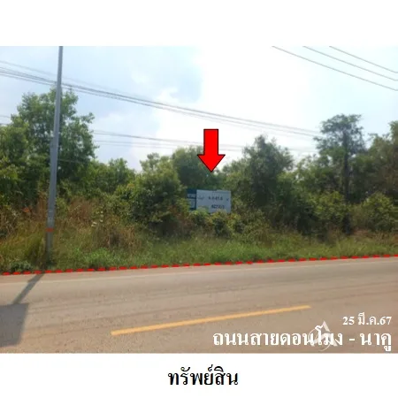 ที่ดินเปล่า เมือง นครพนม 4-3-41.8ไร่